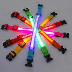 USB Rechargeable LED Pet Dog Safety Collar Bright