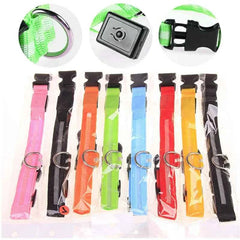 USB Rechargeable LED Pet Dog Safety Collar Bright