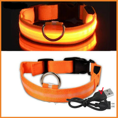 USB Rechargeable LED Pet Dog Safety Collar Bright