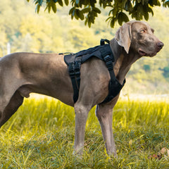 Tactical No-Pull Dog Harness with Reinforced Chest Strap