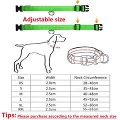 USB Rechargeable LED Pet Dog Safety Collar Bright