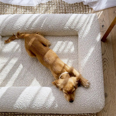 High-End Waterproof Memory Foam Dog Bed Washable