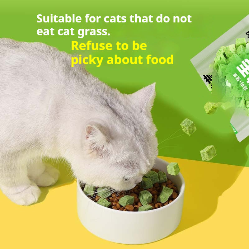 Freeze-Dried Hairball Remedy Cat Treats Daily Snacks