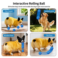 Interactive Smart Moving Bouncing Dog Ball with Lights