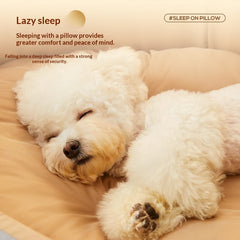 All-Season Thickened Dog Bed for Home Comfort