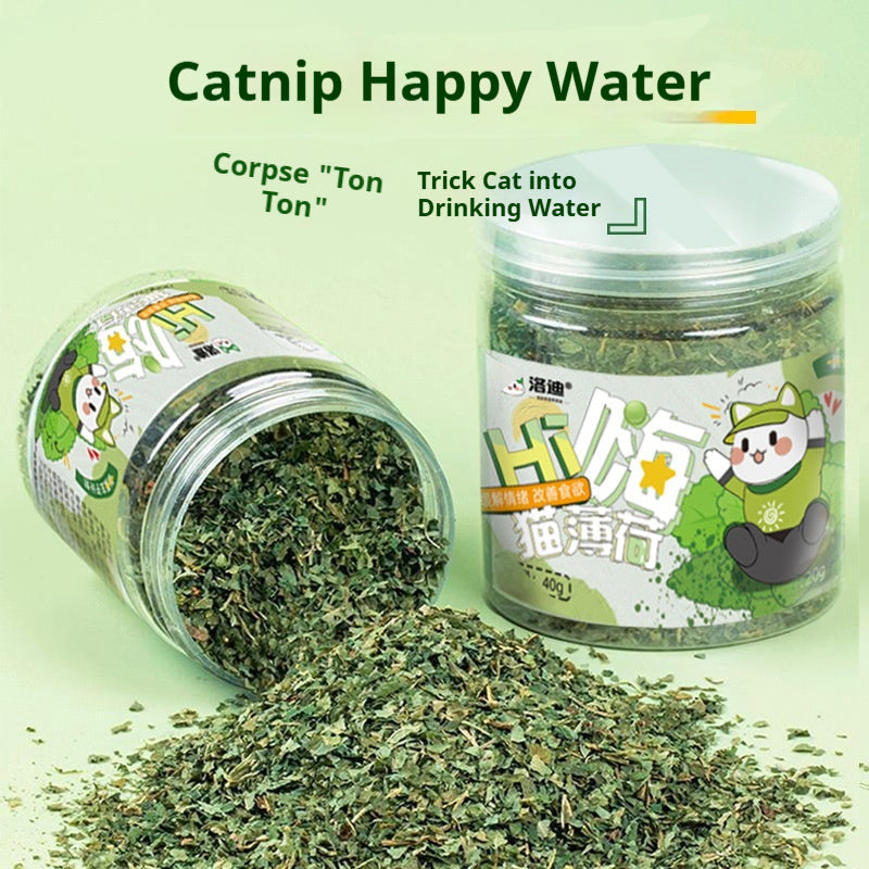 Cat Grass Leaves Treats and Teaser Toy
