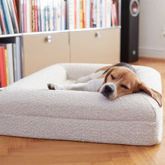 High-End Waterproof Memory Foam Dog Bed Washable