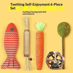 Pet Supplies Cat Toy Gift Set for Cats