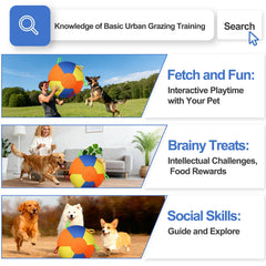Herding Ball with Handles for Large Dogs Training