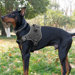 Breathable Tactical Dog Harness with Traction Rope
