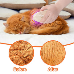 4-in-1 Steam Cat Grooming Brush for Shedding Control