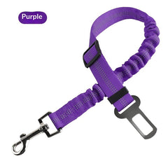 Retractable Shock-Absorbing Extendable Pet Leash for Dogs