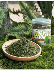 Cat Grass Leaves Treats and Teaser Toy